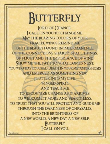 Butterfly Prayer poster