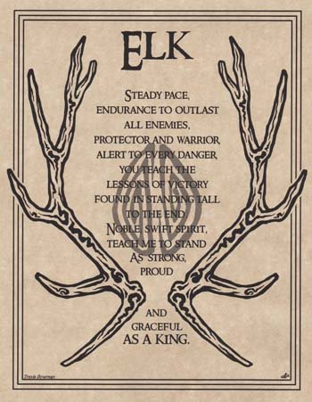 Elk Prayer poster